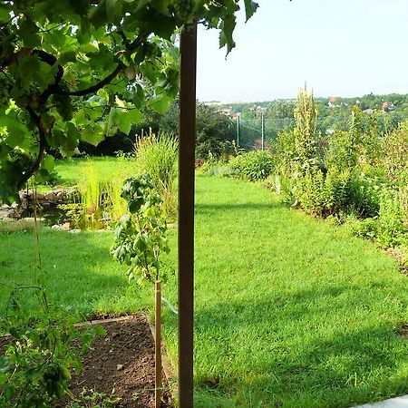 Ubytování Vinohrady 73 Znojmo Exterior foto