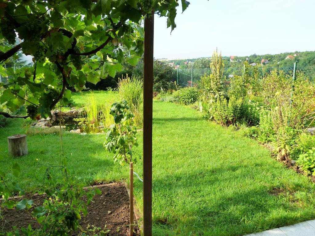 Ubytování Vinohrady 73 Znojmo Exterior foto